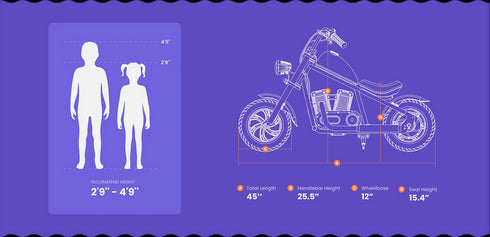 Cruiser 12 Plus (With APP)