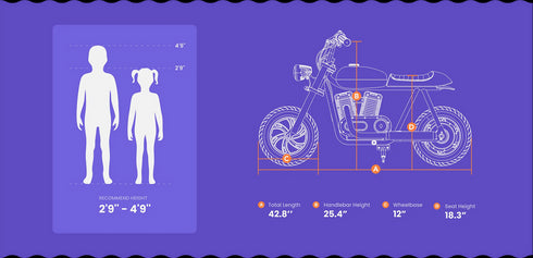 Pioneer 12 Plus (With APP)