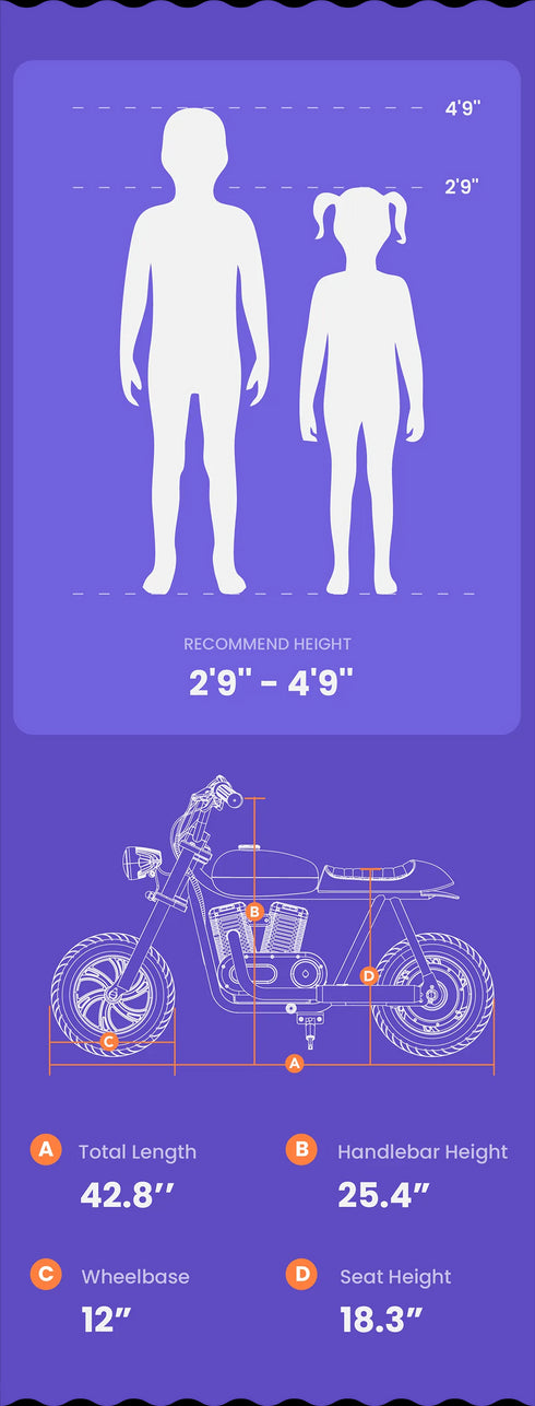 Pioneer 12 Plus (With APP)