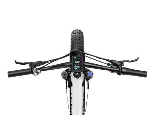 Heybike Alpha Electric Bike