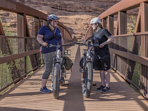 Heybike Alpha Electric Bike