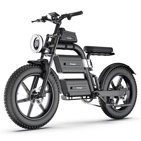 Freego E20 Dual Power eBike