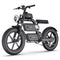 Freego E20 Dual Power eBike