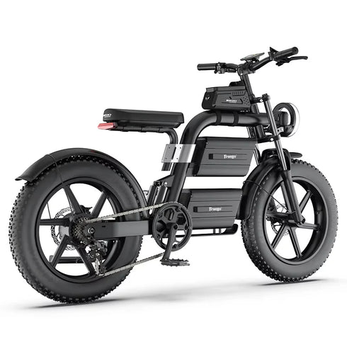 Freego E20 Dual Power eBike