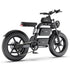Freego E20 Dual Power eBike