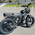 Freego Shotgun Lite F0: Ideal Electric Bike for Short Riders (4'11" to 5'11")
