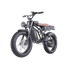 Freego Shotgun Prime F2 Pro Electric Cargo Bike