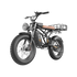 Freego Shotgun Prime F2 Pro Electric Cargo Bike