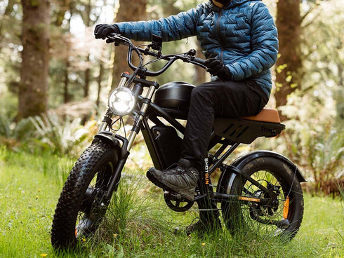 Freego Flash F3 Pro Max Dual Battery eBike