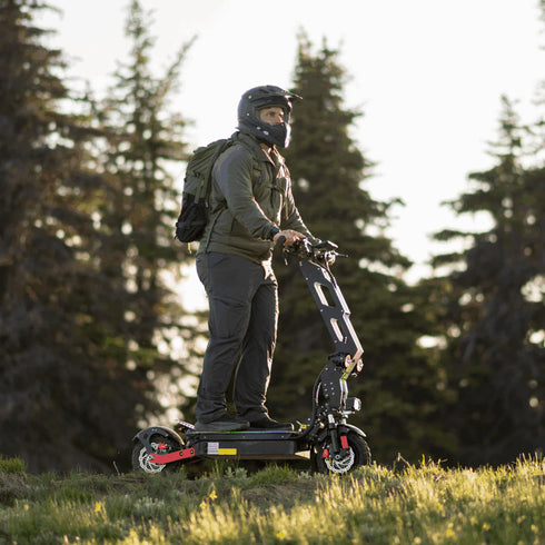 Freego D11 Landtiger Electric Scooter Foldable