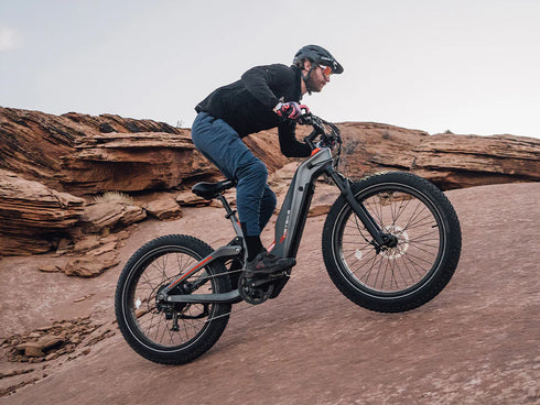 Heybike Hero Off Road Electric Bike