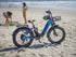Heybike Horizon Electric Bike