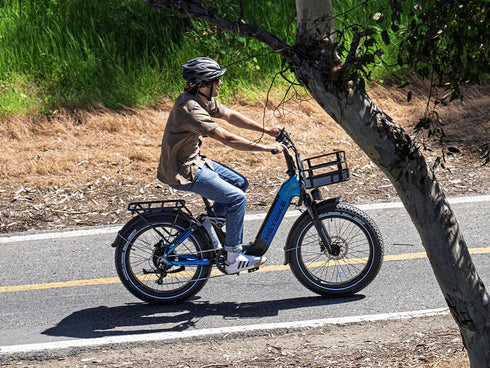 Heybike Horizon Electric Bike