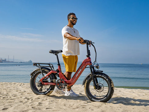 Heybike Ranger 3.0 Pro Electric Bike