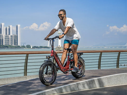 Heybike Ranger 3.0 Pro Electric Bike