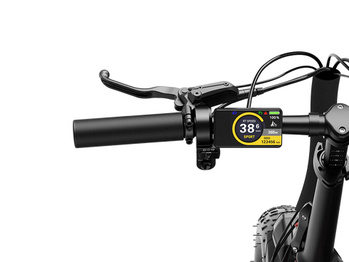 Heybike Ranger 3.0 Pro Electric Bike