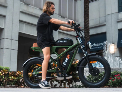 Freego Shotgun Flash F3 Pro Max Electric Bike Dual Battery and Dual Motor