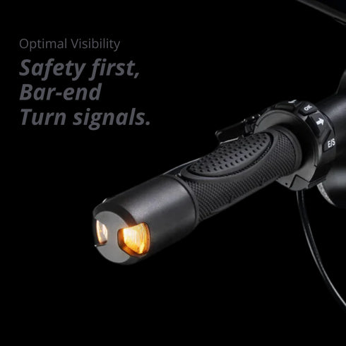 VX8 - VMAX Electric Scooter