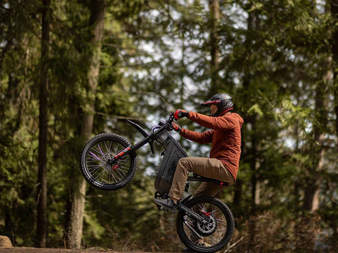 Freego X2 Pro All-Terrain Dirt eBike