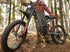 Freego X2 Pro All-Terrain Dirt eBike