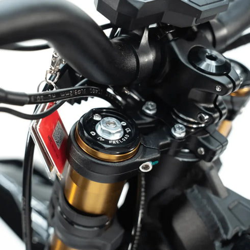 Arctic Leopard - Powerful Dirt EBikes