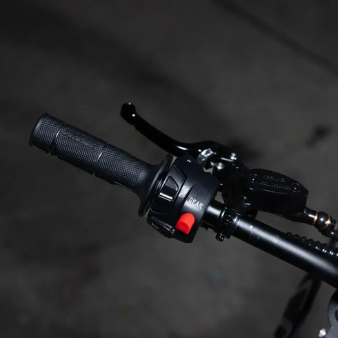 Altis Sigma - Best Electric Dirt Bike 98V 35Ah E-Dirt Bike 12