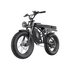 Freego Shotgun Prime F2 Pro Electric Cargo Bike