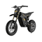 Freego Nova 5 Mini Ebike for Teens and Adults