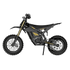 Freego Nova 5 Mini Ebike for Teens and Adults