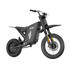 Freego X0 Electric Mini Bike for Teens and Adults