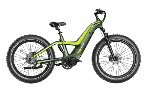 Heybike Hero Off Road Electric Bike