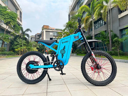 Freego X2 Pro All-Terrain Dirt eBike