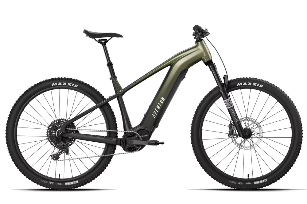 Shop Electric Rides
